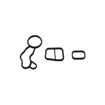 Yağ Filtre Kütük Contası B36>B38 B42 B46>B48 [F20>F36 F10 F45 G20>G11 X1:F48>X5:F15] Set:3ad